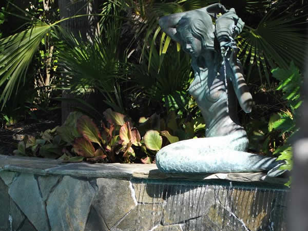 Clayton Pool Contractor, New Pool Construction and Pool Renovation